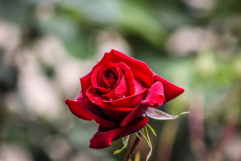 What’s in a Name? The Role of Expectations, and Reality, in Our Judgements.